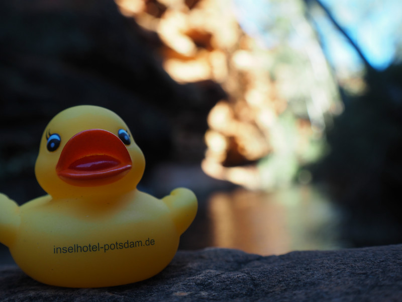 Das INSELHOTEL Potsdam Entchen auf Reise
