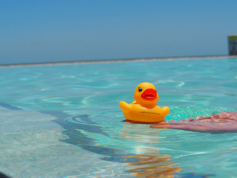 Das INSELHOTEL Potsdam Entchen auf Reise