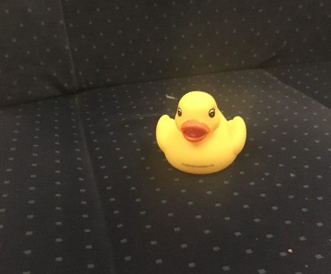 Fotowettbewerb: Amanda & Agathe in Hamburg