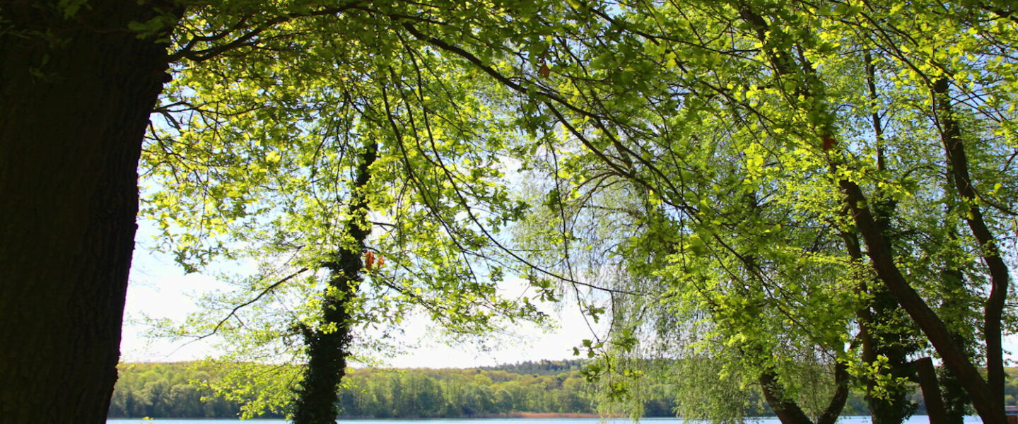 Insel Hermannswerder Frühling